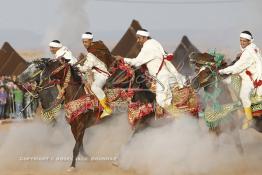 Image du Maroc Professionnelle de  Course typiquement marocaine dite ''la Fantasia'' organisé dans un site désertique sur lequel la ville de Tan Tan a toujours accueilli la majorité des tribus et des grandes familles nomades du désert lors d'un grand Moussem, Samedi 7 Septembre 2013. Le festival parrainé par l'UNESCO rassemble des milliers de nomades du Maroc. (Photo / Abdeljalil Bounhar) 